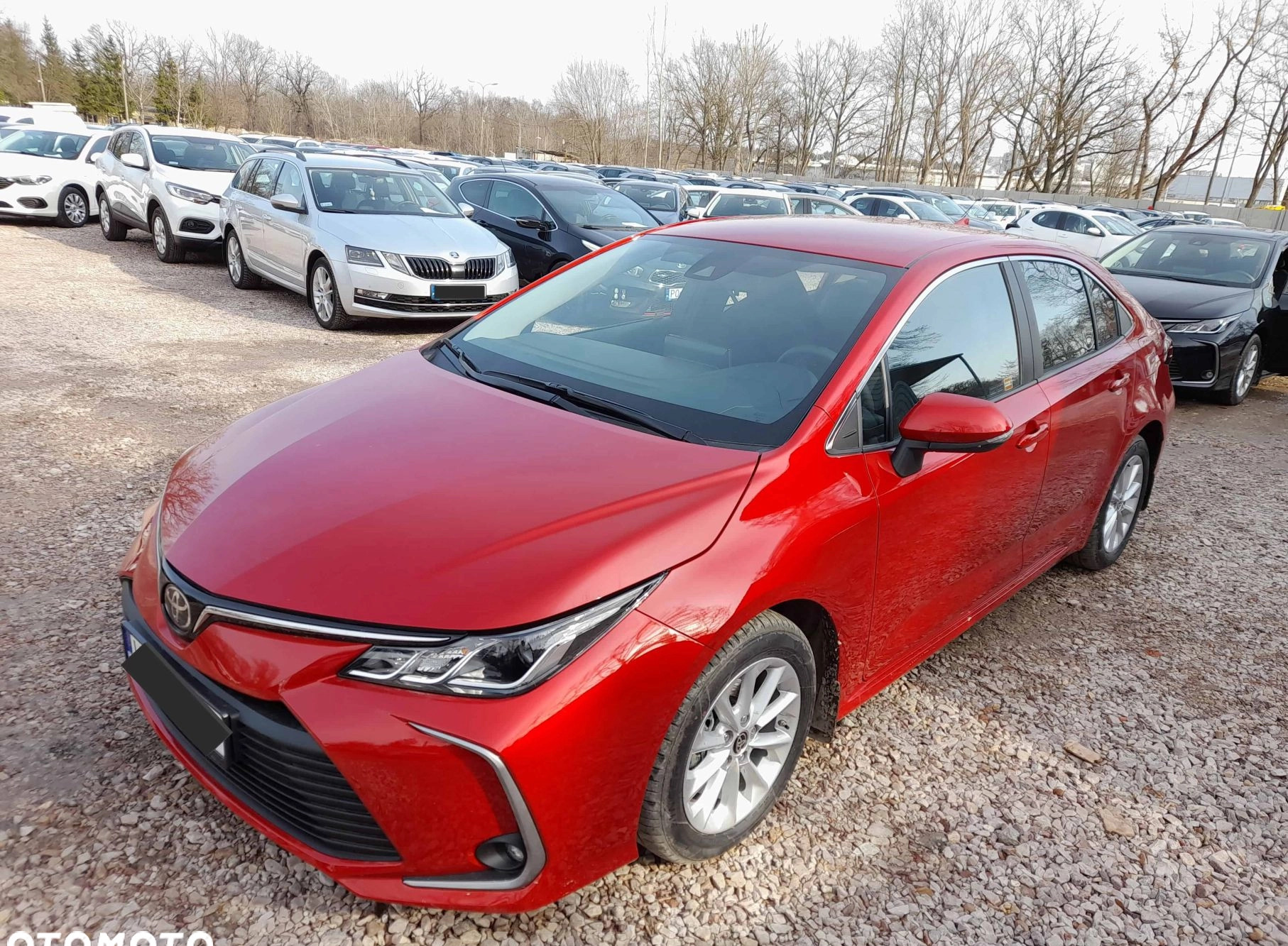 Toyota Corolla cena 125355 przebieg: 1, rok produkcji 2024 z Prochowice małe 37